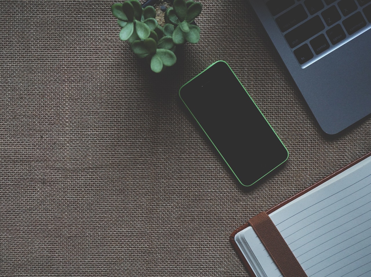 Innovación Tecnológica